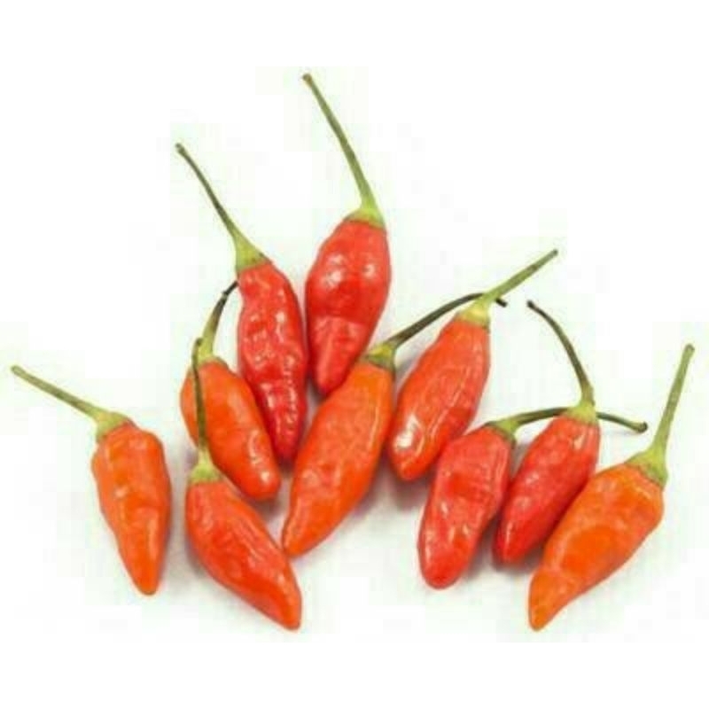 

Cabe rawit merah 100g