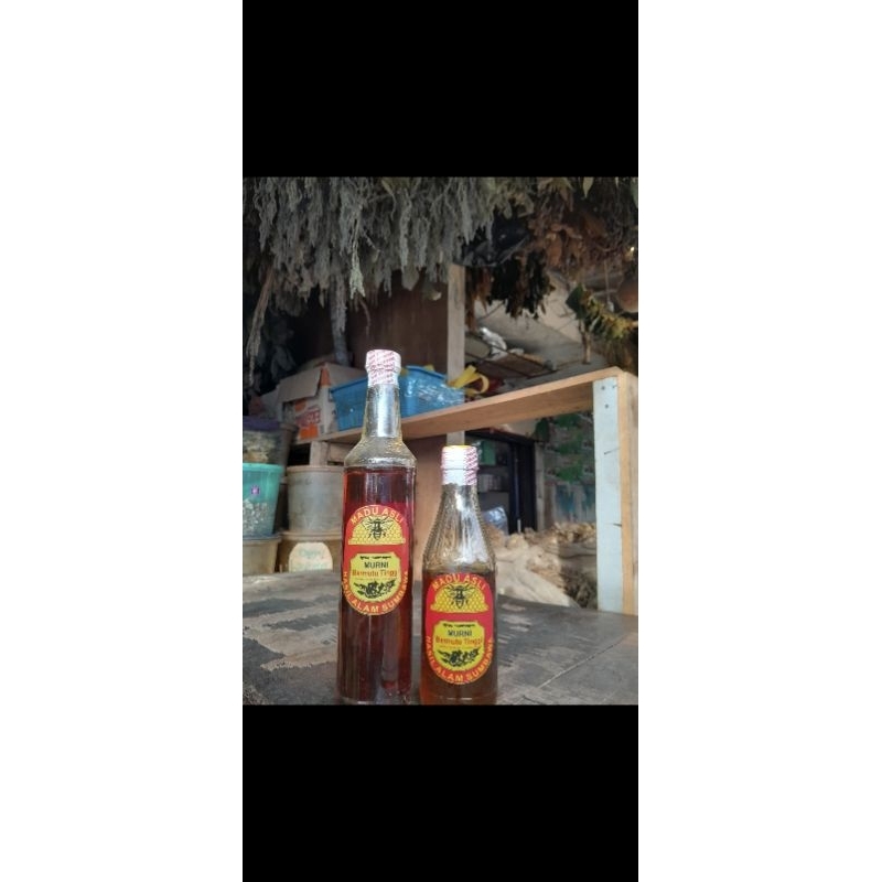 

Madu Lebah Liar
