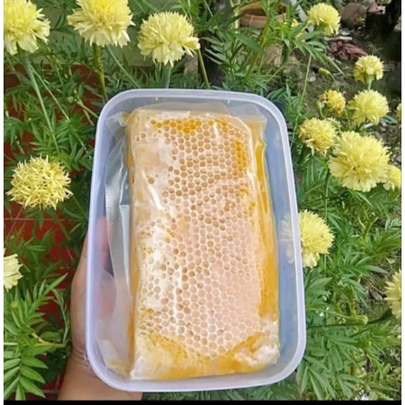 

[250|500]Gram Madu Sarang Asli Melifera Murni Original 100% Premium Honey Comb