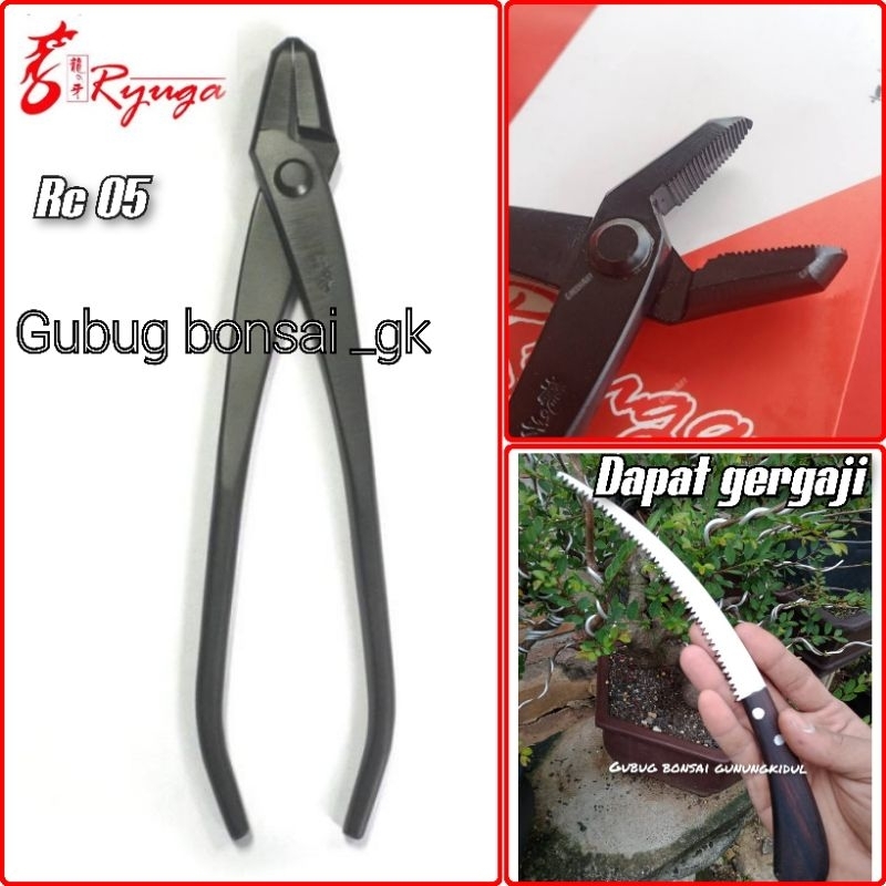 tang bonsai tang kawat tang jin RYUGA RC 05