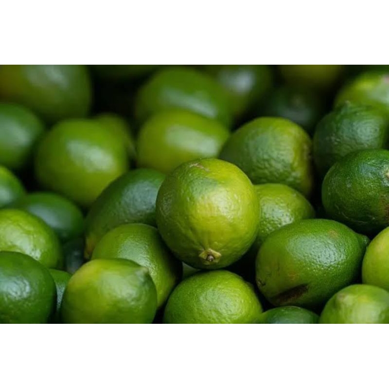 

Jeruk nipis fresh segar 3kg/Jeruk nipis fresh petik langsung kirim 3kg | asli no tipu