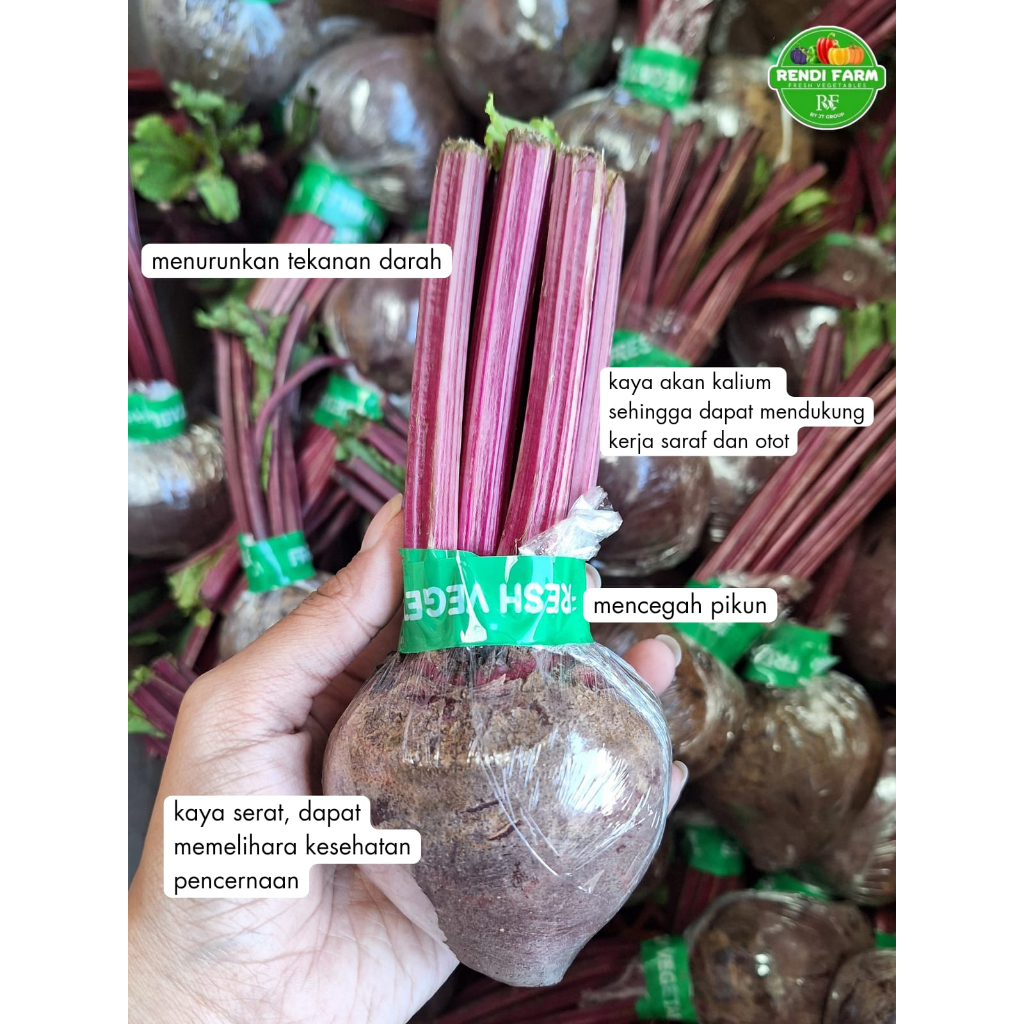 

PROMO BEETROOT REJECT MURAH