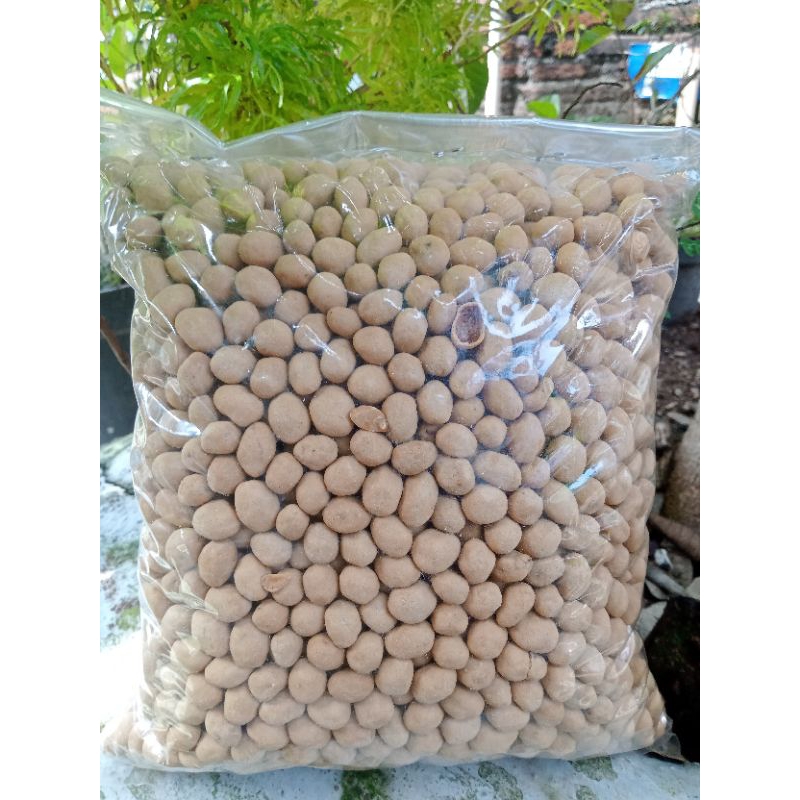 

kacang atom bima/kacang Mayasi/kacang oven 500 gram