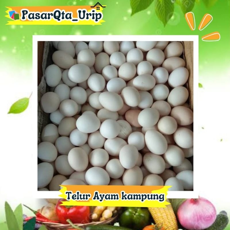 

Telur ayam kampung perbiji / Pasar online makassar