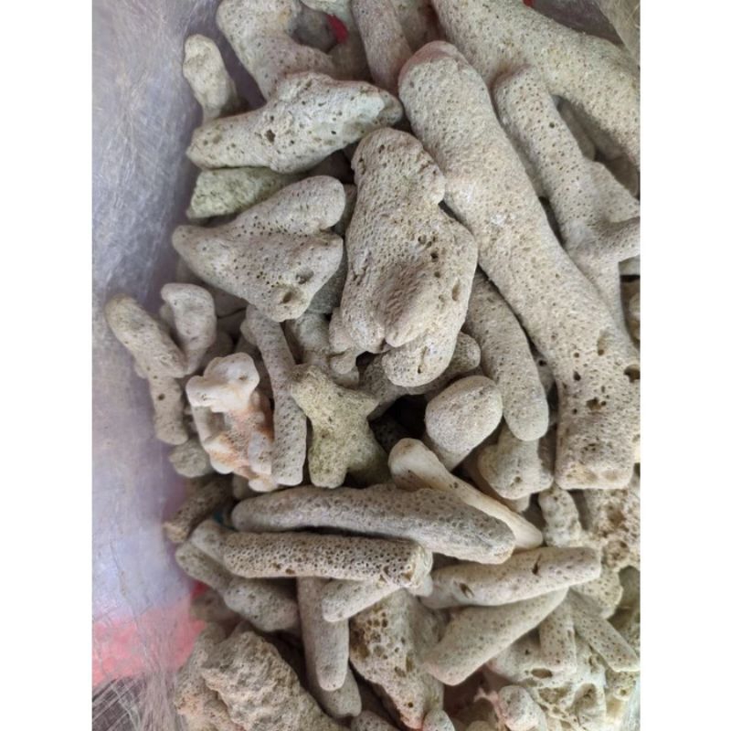 batu karang jahe batu hiasan aquarium batu filter