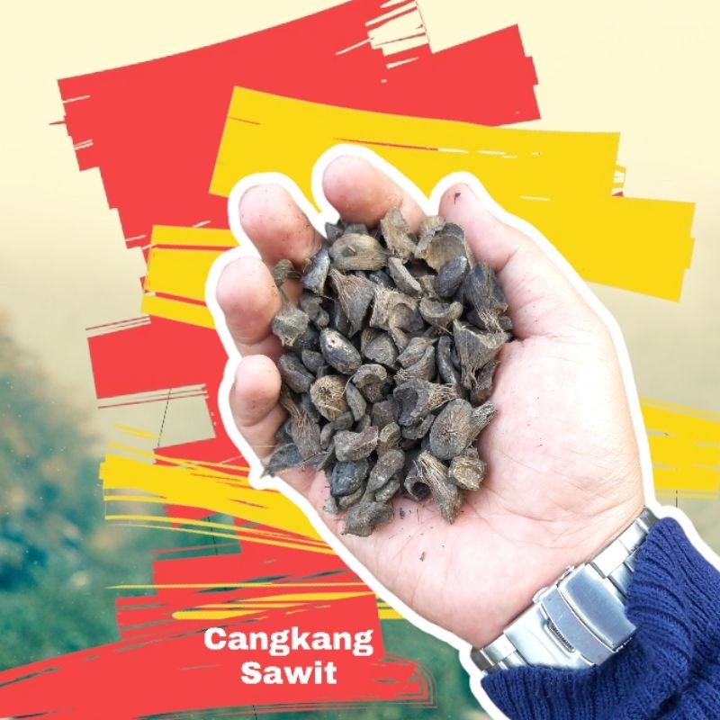 

Cangkang Sawit / PKS