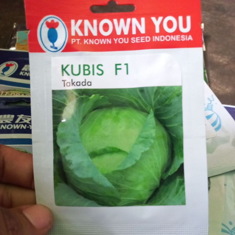 Benih Kubis Takada SP