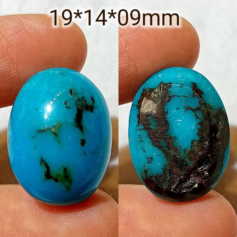 pirus Persia biru