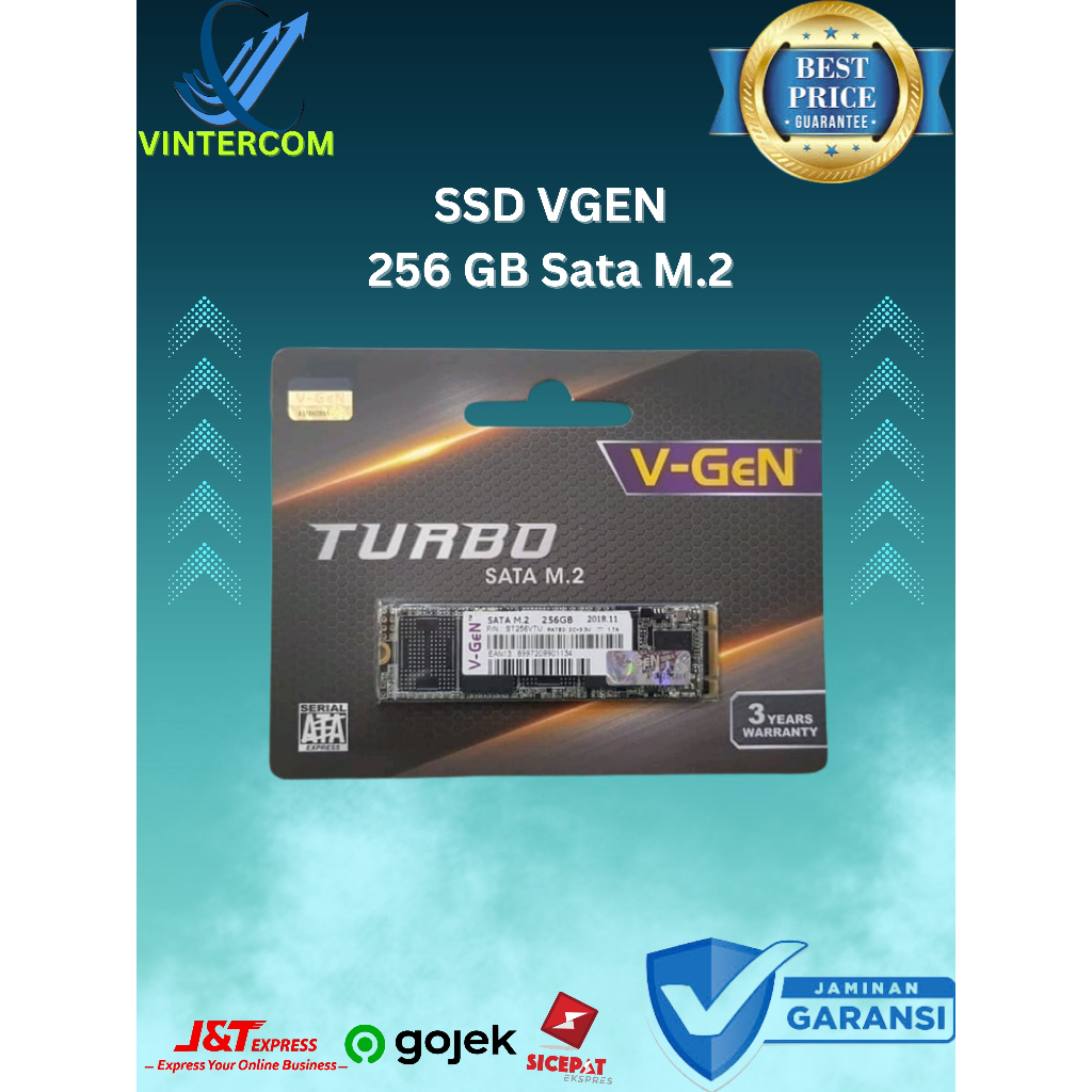 SSD VGEN 256GB SATA M.2 (SSD VGEN M2)