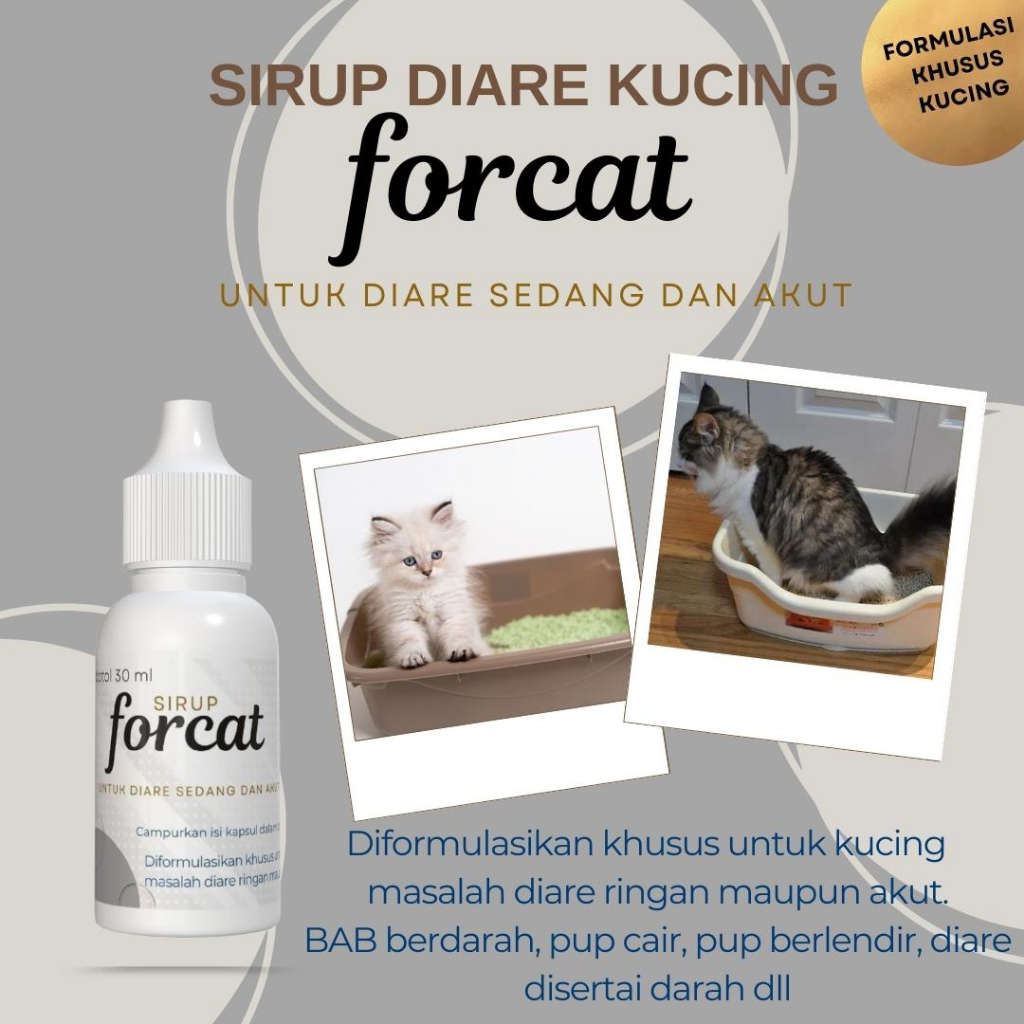 FORCAT Obat Diare Kucing Obat Anti Mencret Berak Darah Gangguan Pencernaan Kucing Muntah Cat Kitten