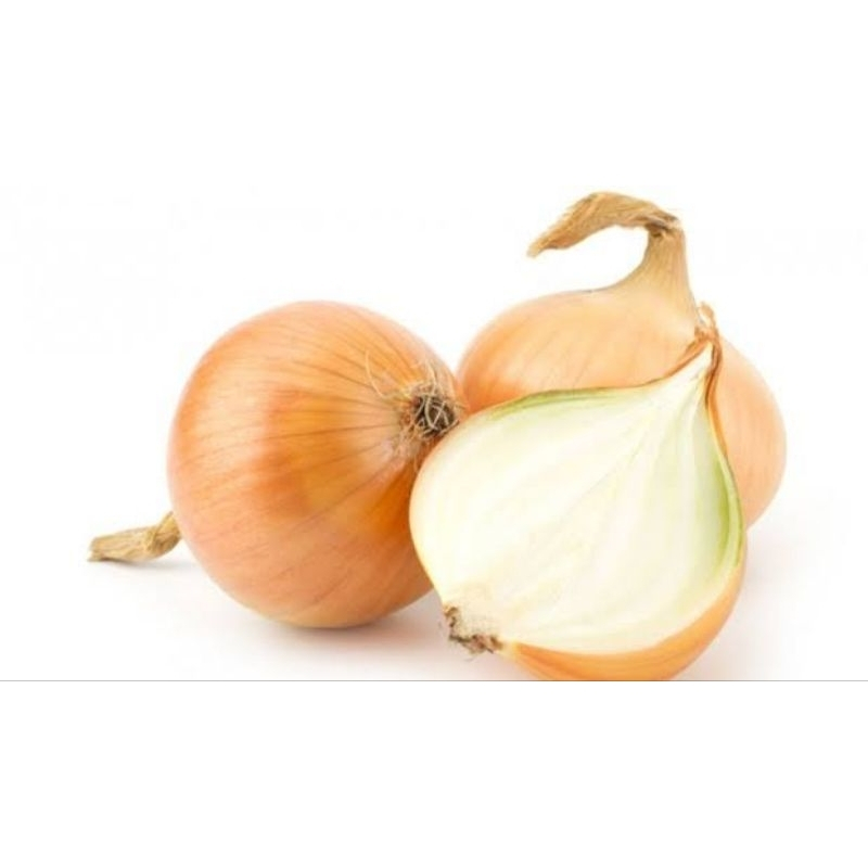 

Bawang Bombay Murah