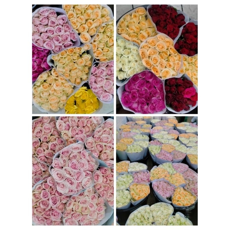Bunga Mawar Semi Lokal | Mawar Segar | Bunga Potong