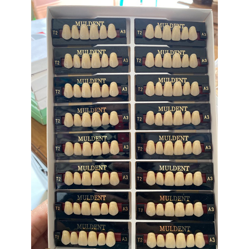 gigi muldent depan atas 2 box geraham 4 box