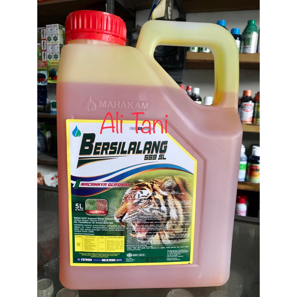 BERSILALANG 559 SL Kemasan 5 Liter Herbisida Sistemik/Racun Rumput