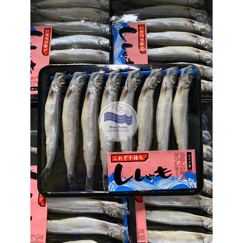 

Ikan Shisamo | Capelin Fish