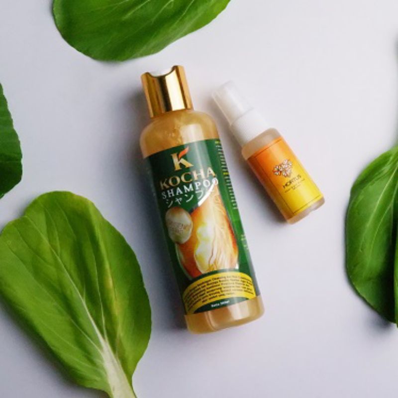 Paket Ketombe Parah-2