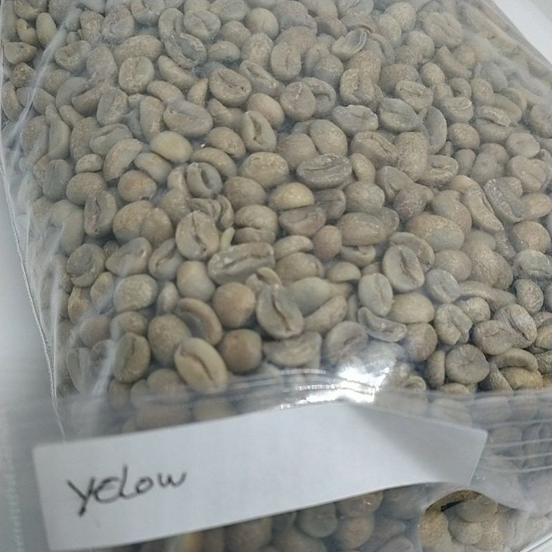 

Green Bean Biji Kopi Arabika Yellow Caturra 1KG