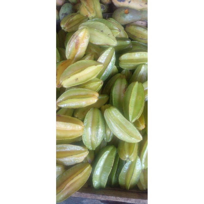 

Belimbing 1kg