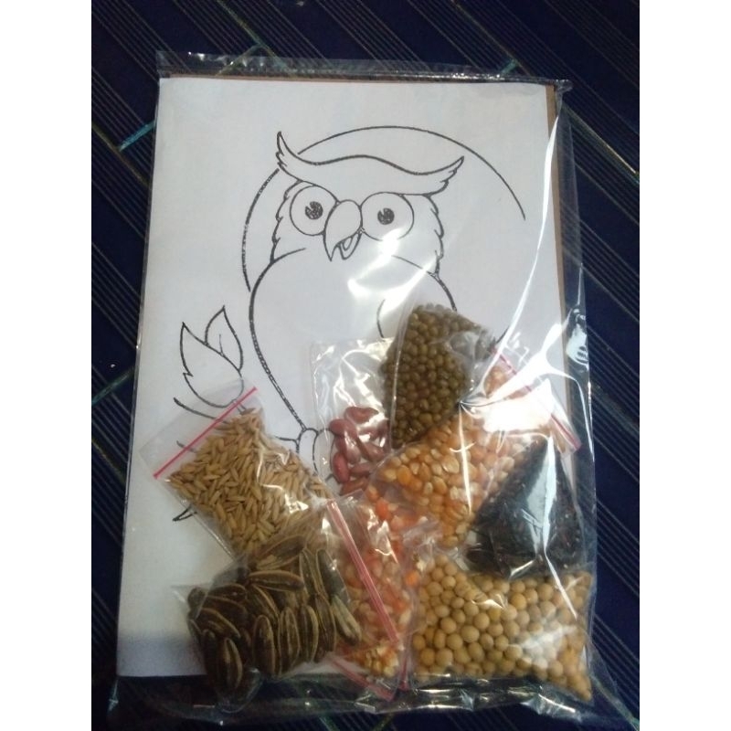 kolase biji bijian burung hantu tempel sendiri