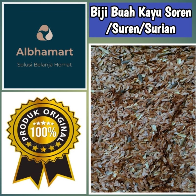 benih biji buah kayu soren | suren | surian 50 biji