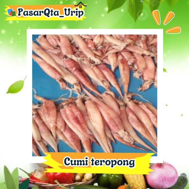 

Perpaket cumi teropong cumi basah cumi fresh / pasar ikan makassar / Pasar online makassar