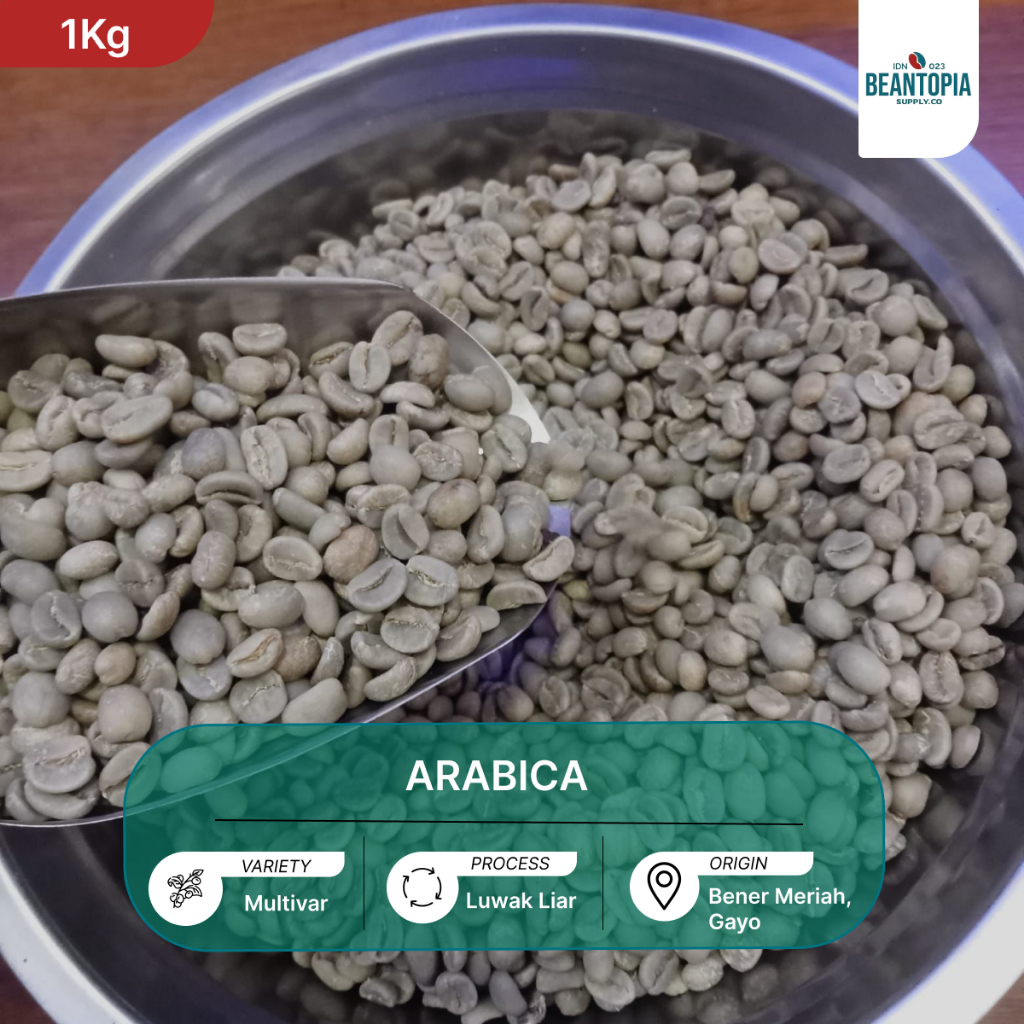 

Arabika Luwak Liar Gayo Green Bean