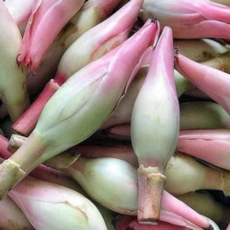 

Kincung/kecombrang 100gr