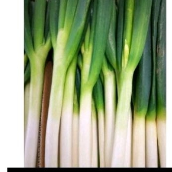 daun bawang 1kg/bawang daun 1kg