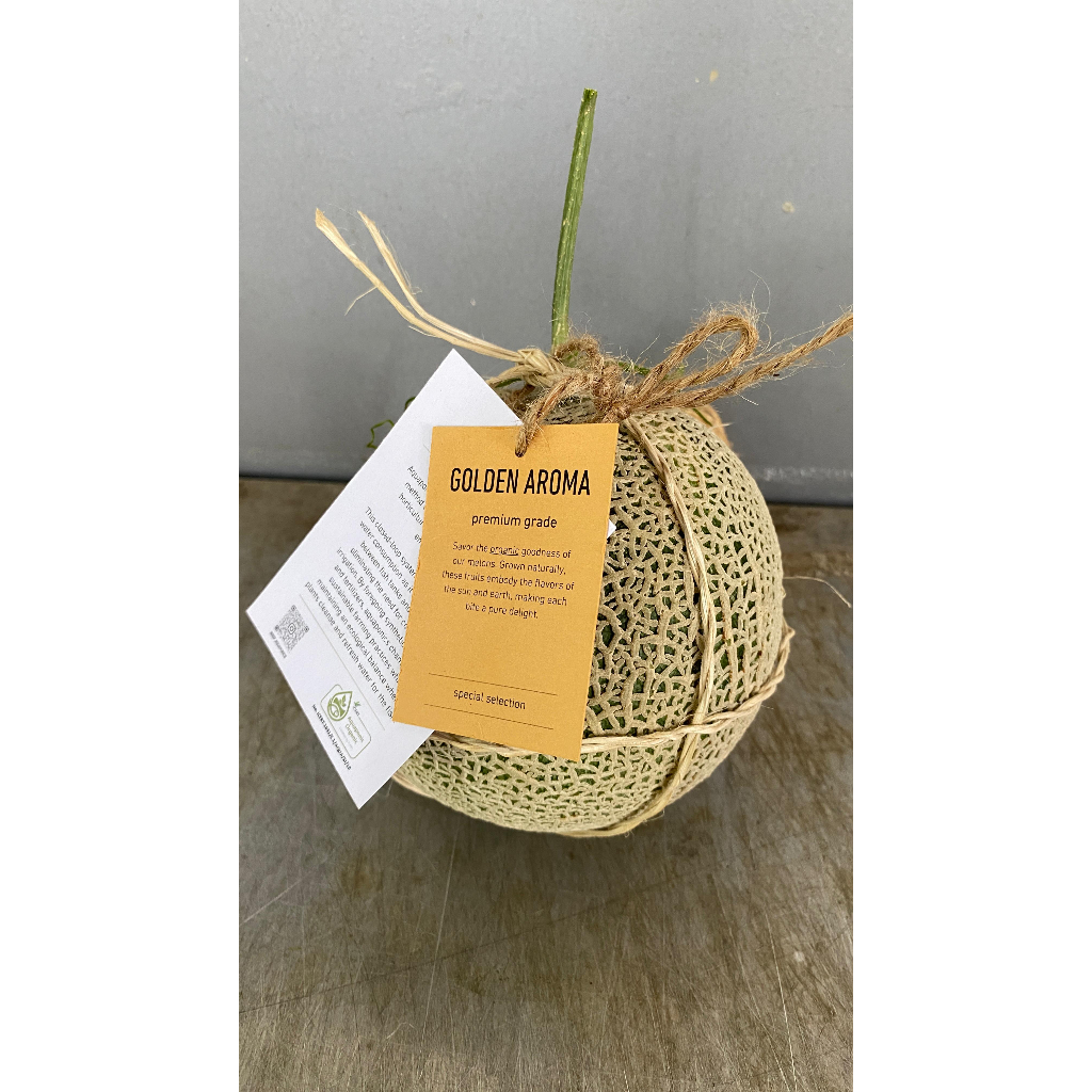 

Melon Aroma Organik BSP FARM