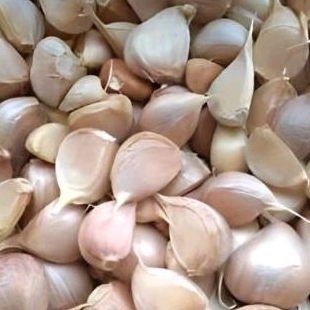 

bawang putih 250g