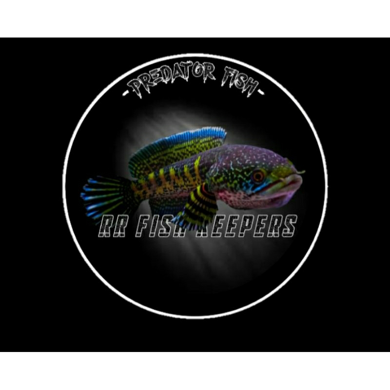 STICKER AQUARIUM SINGLE TANK BLUE PULCRA 6-7 cm termurah