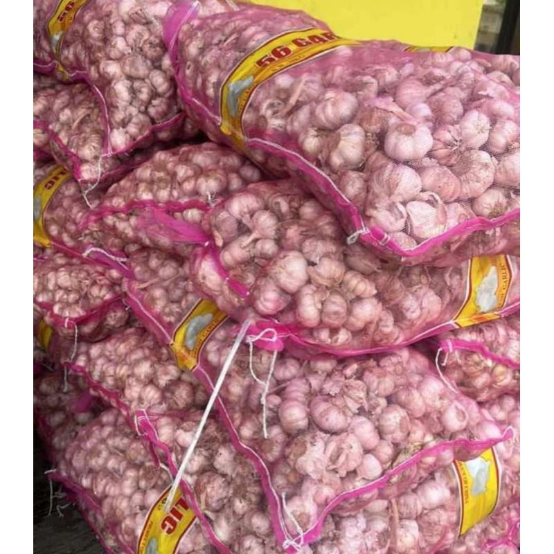 

Bawang putih premium fres