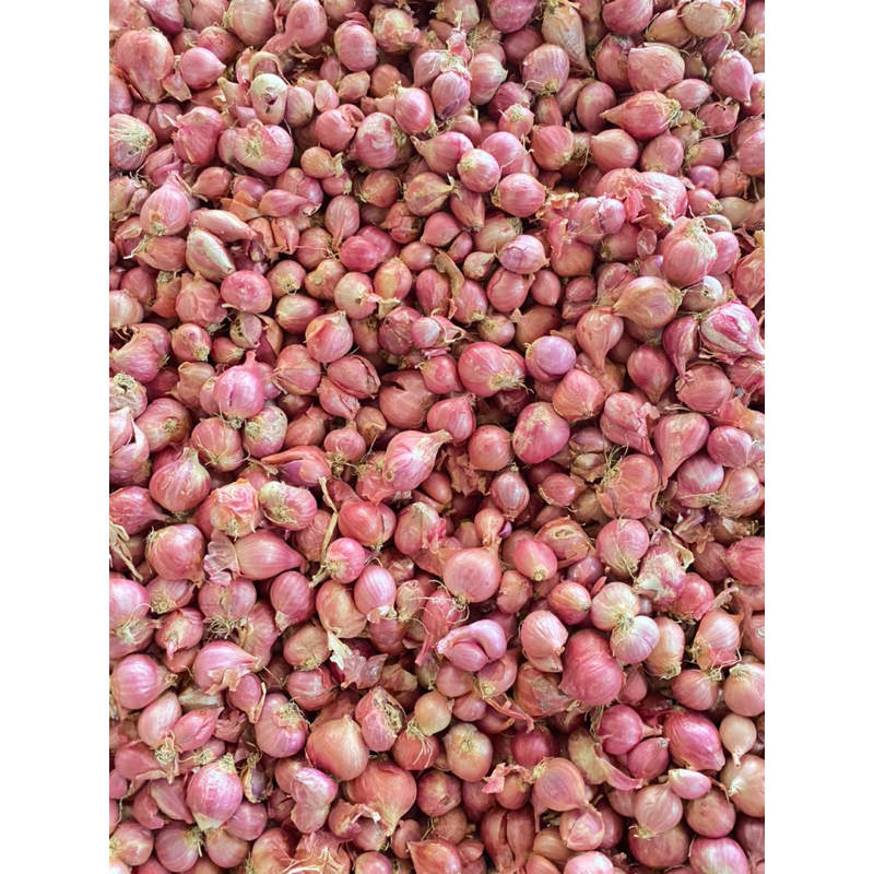 

Bawang Merah Lokal Premium 1kg