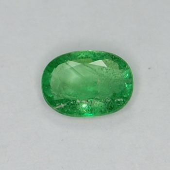 Tsavorite Garnet - GT055