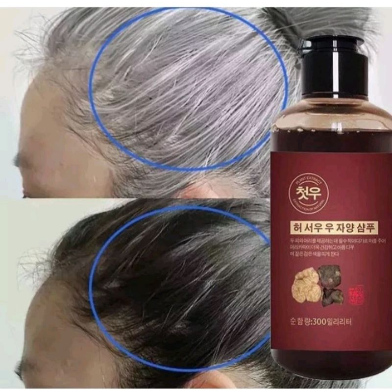 Shampo black herbal natural polygonum perawatan rambut anti uban penghilang uban
