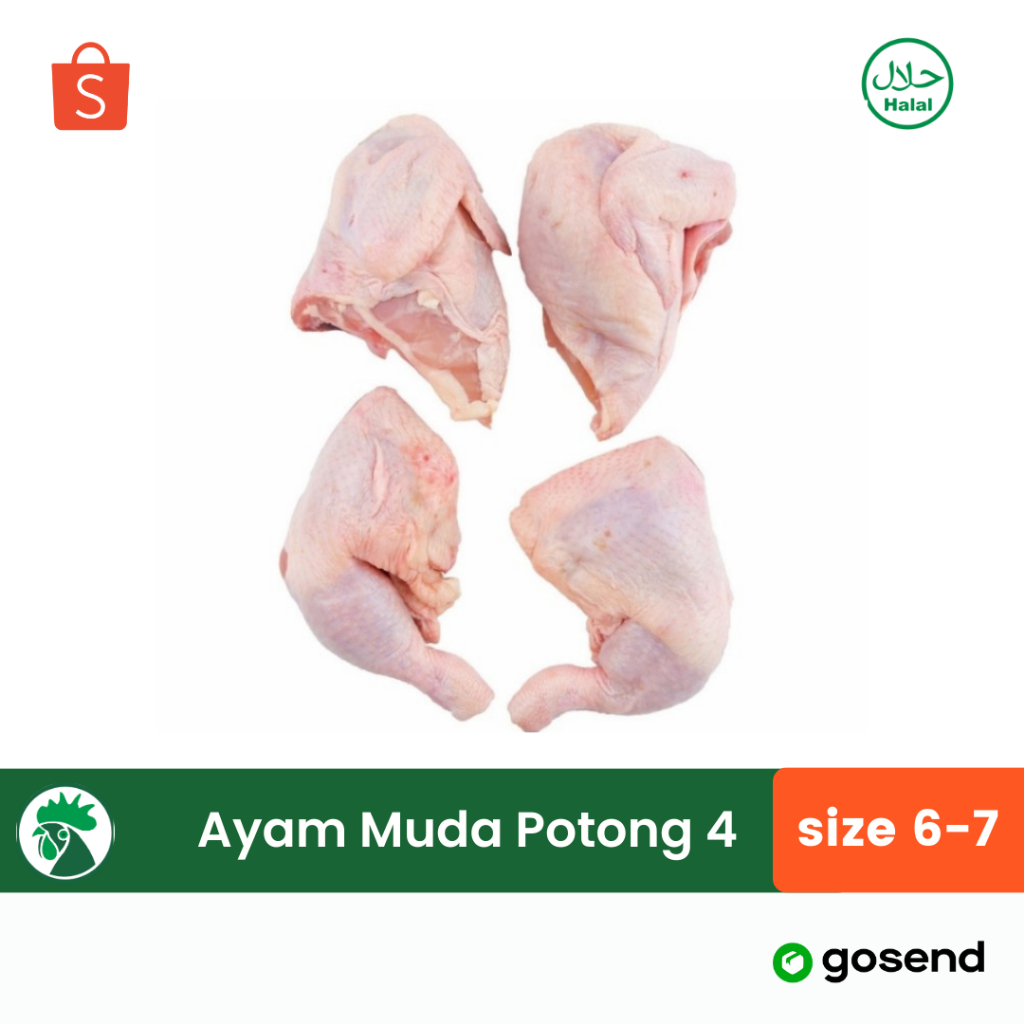 

Ayam Potong PREMIUM 1 Ekor | Size 6-7 | Ayam Broiler Muda