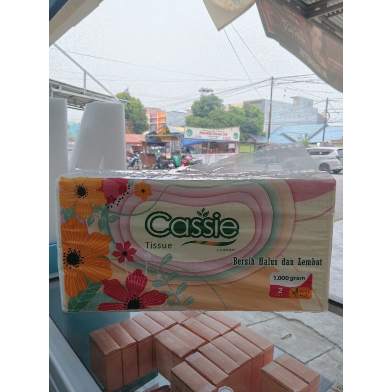 Cassie Tissue Facial
