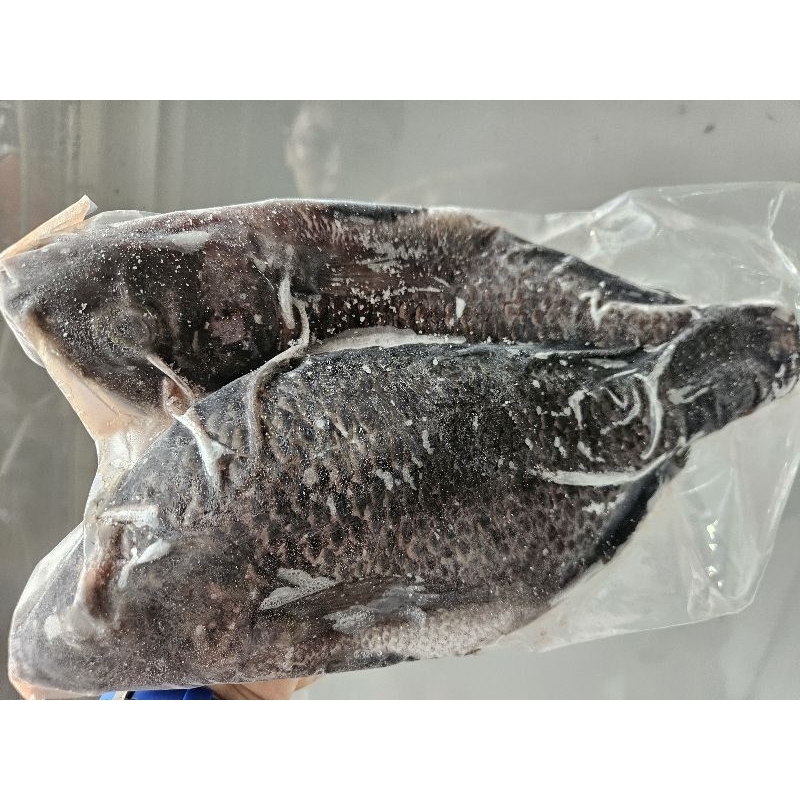 

Ikan Nila frozen
