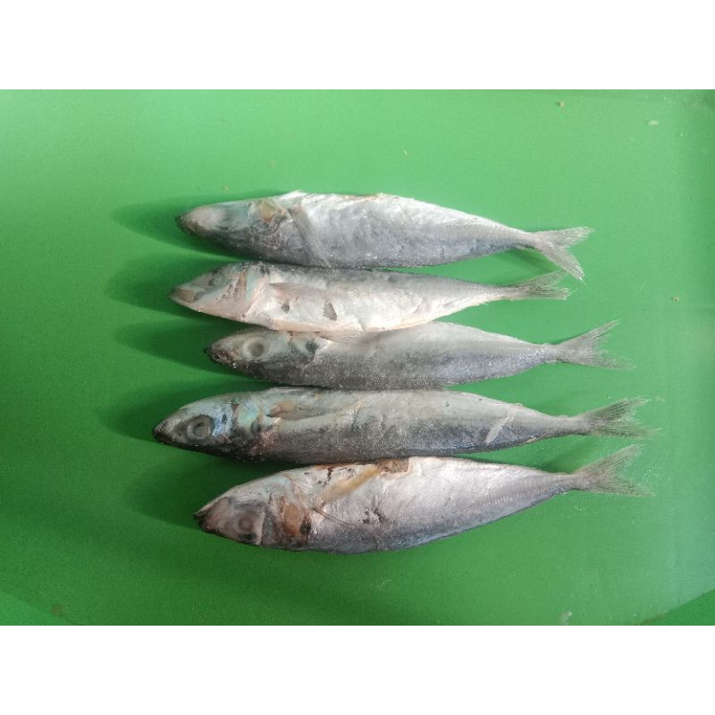 

ikan asin layang