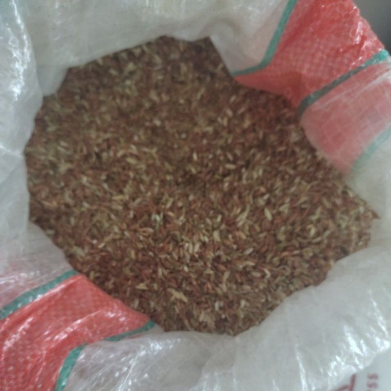 

beras merah 500gram