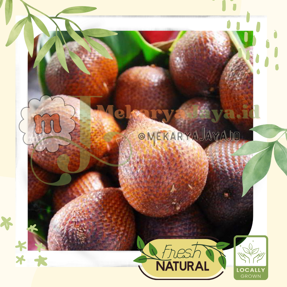 

[MJ-Fresh] Buah Salak Pondoh