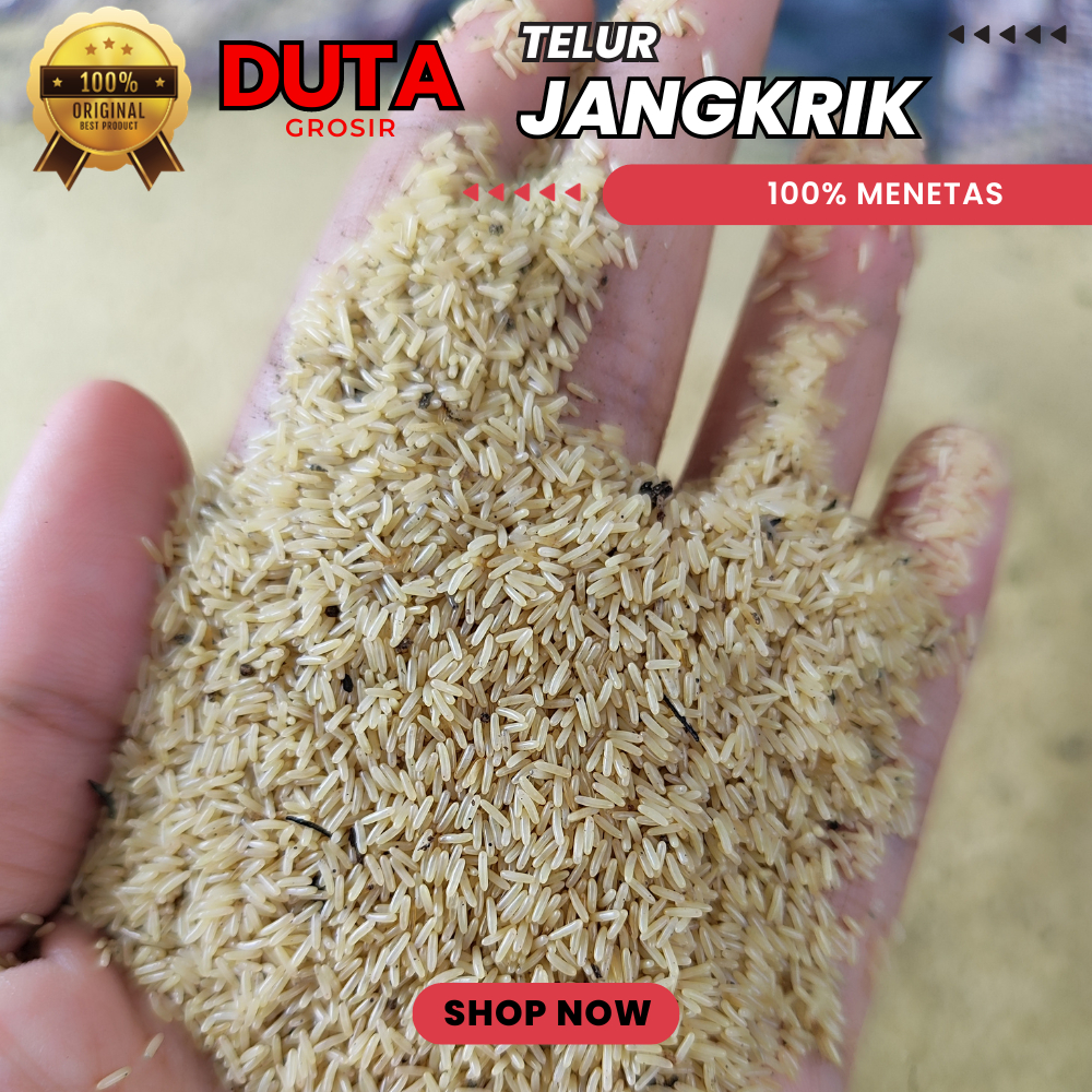 

PROMO TELUR JANGKRIK JOGJA