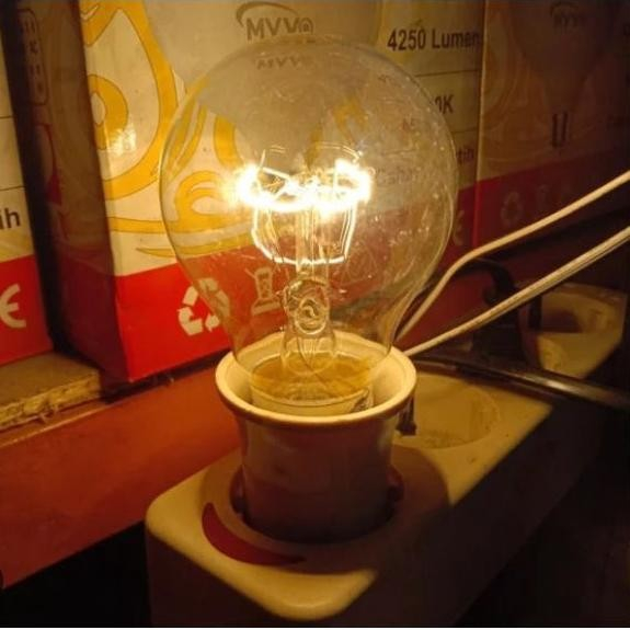 Lampu Pijar Pioline E27 ps55 5 Watt cocok untuk budidaya telur ayam