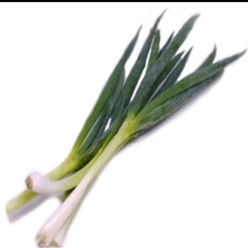 

Daun Bawang Besar Daun Pre Sayur Segar