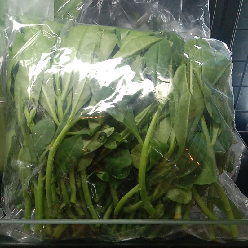 

RG daun gingseng 250g