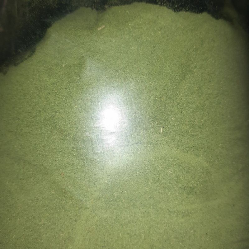 

Daun Mangga Kering 500 grm (obat Herbal Asam Urat)