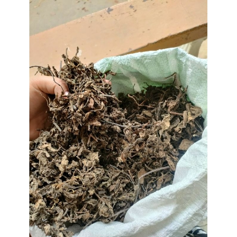 

DAUN JANGGELAN ( janggelan kasar, karena stok tinggal daun kasar alias ada rantingnya)
