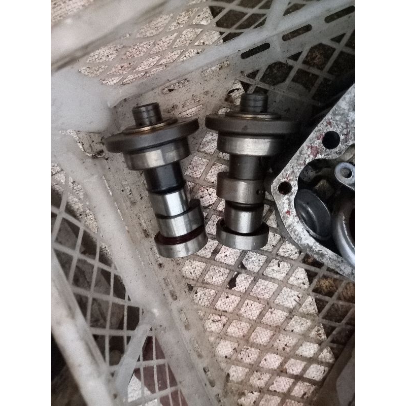 Noken As Tiger Revo Tiger 2000 original copotan