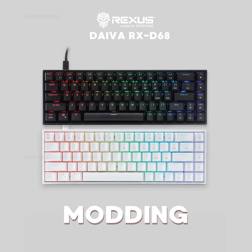 Rexus Daiva RX-D68 Modding