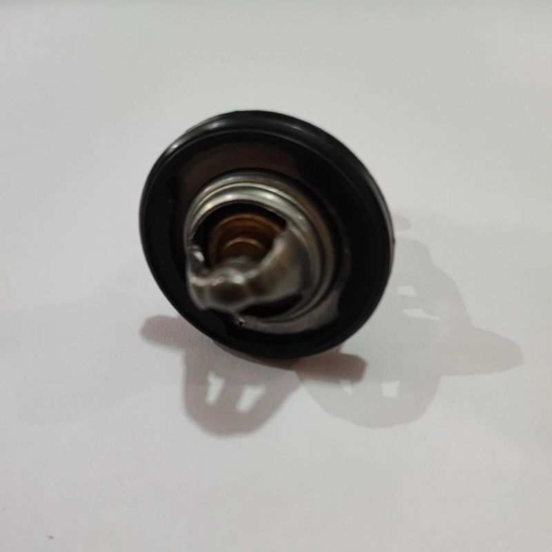 TERMOSTAT VIXION 2017